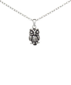 Exquisite 925 Sterling Silver Owl Pendant. Expertly crafted with attention to detail, this pendant captures the essence of beauty and intelligence. Made from high-quality 925 sterling silver, it promises durability and timeless elegance.