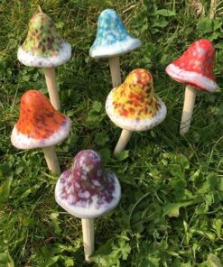 Magical Garden Toadstool assorted colours