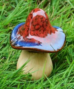 Magical Small Red & Blue Toadstool